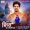 About Hamaar Wali Shiv Ke Diwani Ha Song